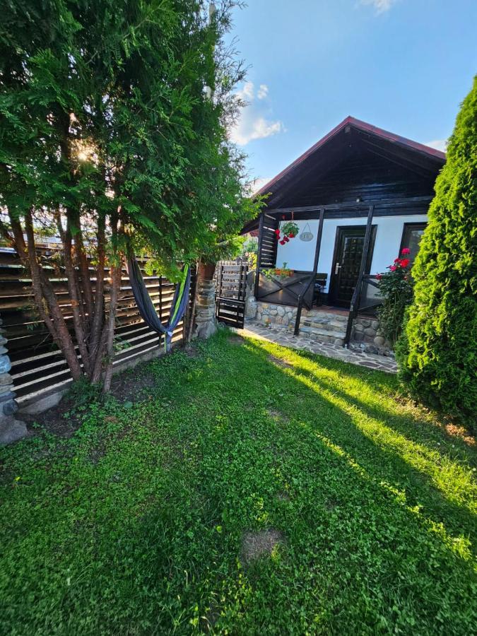 Complex Valea Argesului Hotel Albestii de Arges ภายนอก รูปภาพ